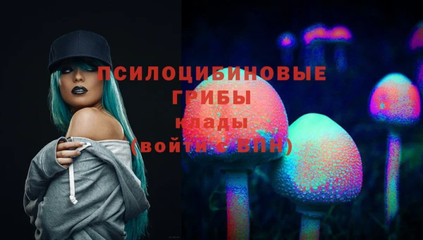 гидра Навашино