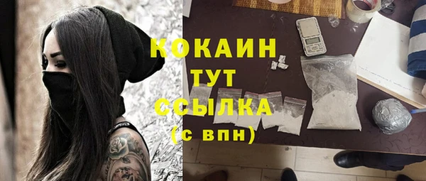 дмт Надым