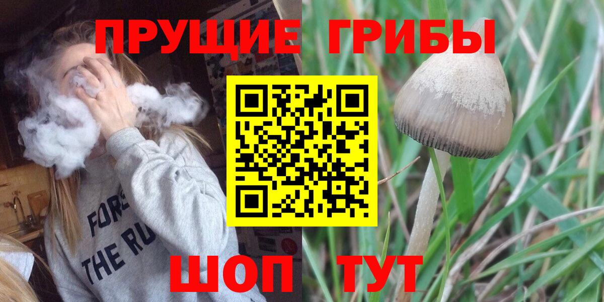 Галлюциногенные грибы мицелий Канск
