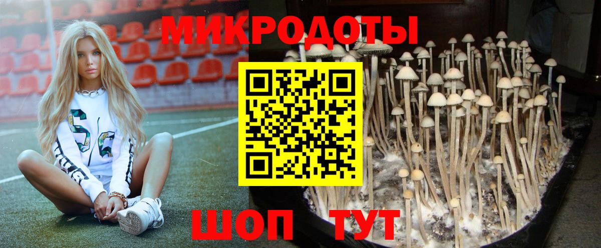 Галлюциногенные грибы мицелий  Канск 