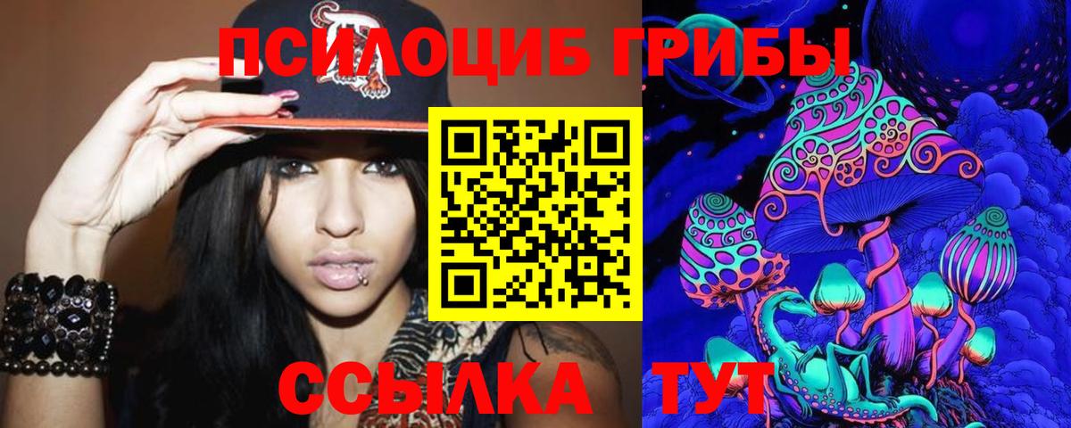 Галлюциногенные грибы Psilocybine cubensis  Вход с VPN  Канск 