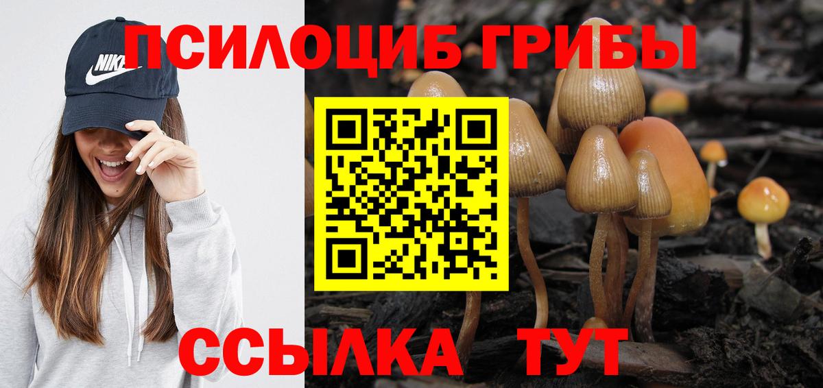 Галлюциногенные грибы ЛСД Канск